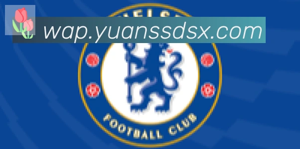 爱游戏官网合作伙伴