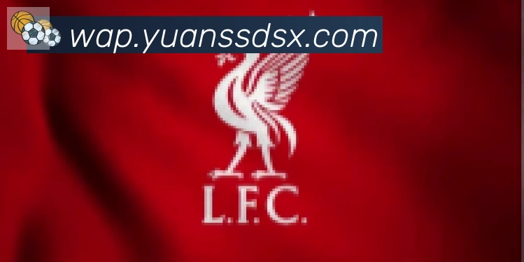 爱游戏官网合作伙伴